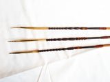 Antique Head Hunting Cassowary Bone Tipped Arrows ~ Papua New Guinea